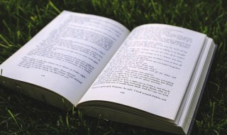 独特好记的女生艺名 独特好记的女生艺名现代