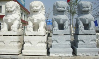 石狮子和哪个生肖相冲 石狮子和哪个生肖相冲呢