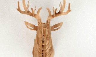 鹿头挂在家里什么位置最好 家里鹿头摆放位置有讲究吗