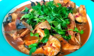 五道黑鱼怎么做好吃 五道黑鱼怎么做好吃 家常