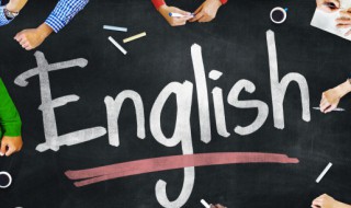 bookcase什么意思（Bookcase什么意思）