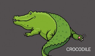 鳄鱼为什么怕河马 鳄鱼不怕河马吗