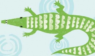 鳄鱼为什么一动不动 鳄鱼为什么一动不动的张着嘴