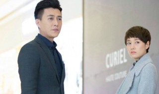 我的前半生子君的孩子谁演的(我的前半生子君的配音是谁)