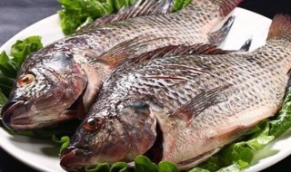 鲫鱼不能和什么水果一起吃(鲫鱼可以和水果一起吃吗)