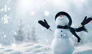 小雪节气晴天有说法吗（小雪节气的说法）