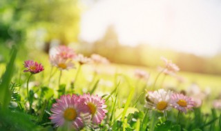 小雪天晴意味着什么（小雪见晴天）