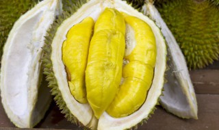 榴莲山药可以一起炖吗 榴莲山药可以一起炖吗宝宝