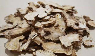 白术可以怎么吃怎样吃最好（白术的吃法怎么吃最健康）