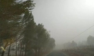 梦见刮风下雨什么预兆（梦见刮风下雨什么预兆解梦）