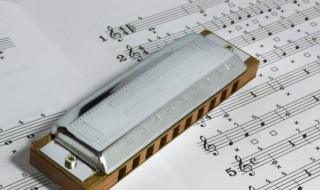 好朋友儿歌歌词 你是我的好朋友儿歌歌词