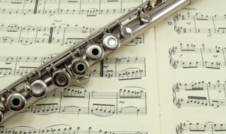 陪我走过春夏秋冬歌词（陪我走过春夏秋冬歌词歌谱）