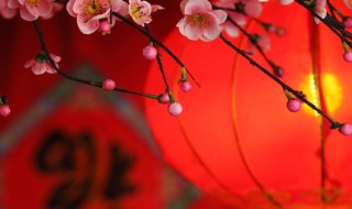 中国元旦的风俗有哪些 中国元旦的风俗有哪些英语