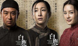 白鹿原里二豆是谁演的（白鹿原里二豆扮演者个人资料）