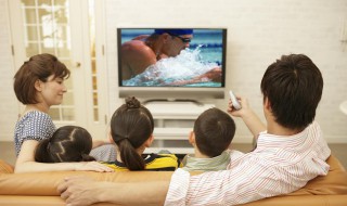 摆渡人马力是谁演的（摆渡人的导演是谁）