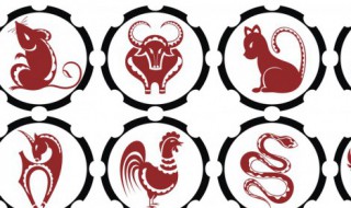 73年属什么生肖（73年属什么生肖 今年多大了）