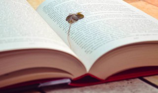 神丹是什么意思 神丹是词语吗