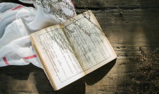 一就是什么意思 就是什么意思解释一下