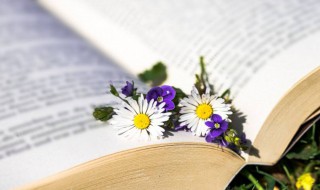 排遣是什么意思 派遣和排遣的意思