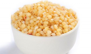 高粱米要泡多久才能煮饭（高粱米要泡多久才能煮饭吃）