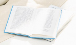 犟嘴是什么意思 犟嘴解释