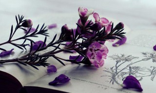 宽慰是什么意思 宽慰是什么意思造句