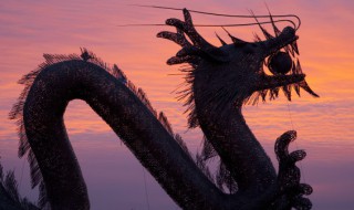 2024年属什么生肖 2024年属什么生肖五行