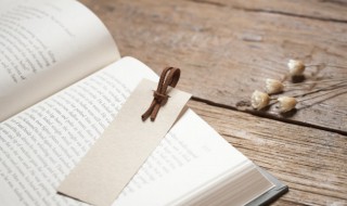 西游记第12回概括（西游记第12回概括50字）