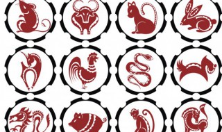 67年属什么生肖属相（67年属什么生肖属相几岁）