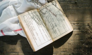 弥勒佛是什么意思(黑色弥勒佛是什么意思)