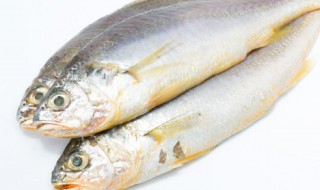 做红烧鱼的方法（做红烧鱼的方法 家常文字）