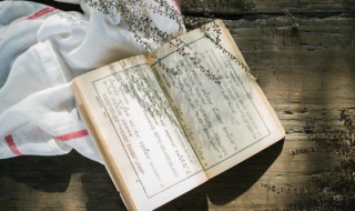 形容人坦然面对的成语（坦然的词语）