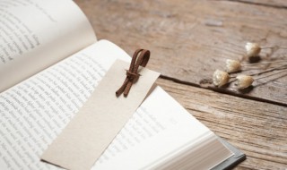 宇称是什么意思 宇称是什么意思怎么读