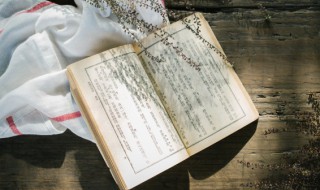 西游记第20回概括 西游记第20回概括100字