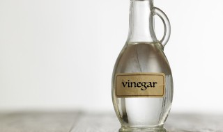 蛋白质和醋会发生反应吗 蛋白质和醋会发生反应吗