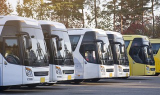 绿灯亮了不走会被拍吗 车坏了绿灯亮了不走会被拍吗