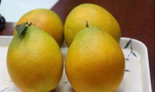 枳的养殖方法和注意事项（枳的繁殖方法）