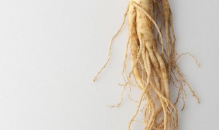 小人参长什么样（小人参是啥）