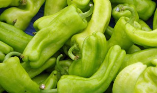 辣椒的制作方法 如何腌制辣椒的制作方法
