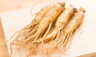 野山参的功效与作用及食用方法(野山参的功效与作用及食用方法及禁忌)