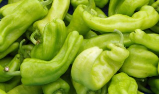 青辣椒的保存方法（青红辣椒的保存方法）