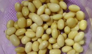 黄豆发芽和皮变黑了还能吃吗(黄豆发芽和皮变黑了还能吃吗视频)