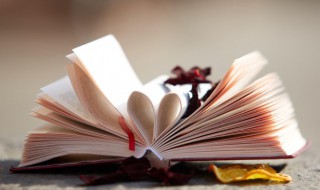 大家闺秀的意思（大家闺秀的意思与造句）