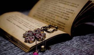 专横跋扈的意思(专横跋扈怎么读音是什么意思)