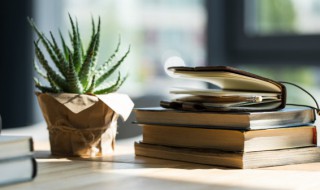 招财进宝什么意思（招财进宝什么意思啊）