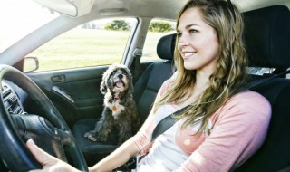 沃尔沃s90操作的方法是什么? 沃尔沃s90操作方法讲解