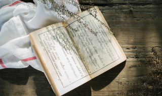 红楼梦的体裁是什么 红楼梦所属的文学体裁是什么