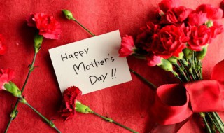 母亲节送康乃馨几朵(母亲节送康乃馨几朵代表什么)