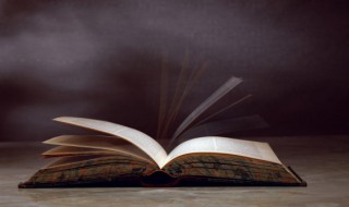 擎天柱的意思（擎天柱的意思是什么）