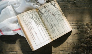 心不应什么成语（心不应什么成语大全）